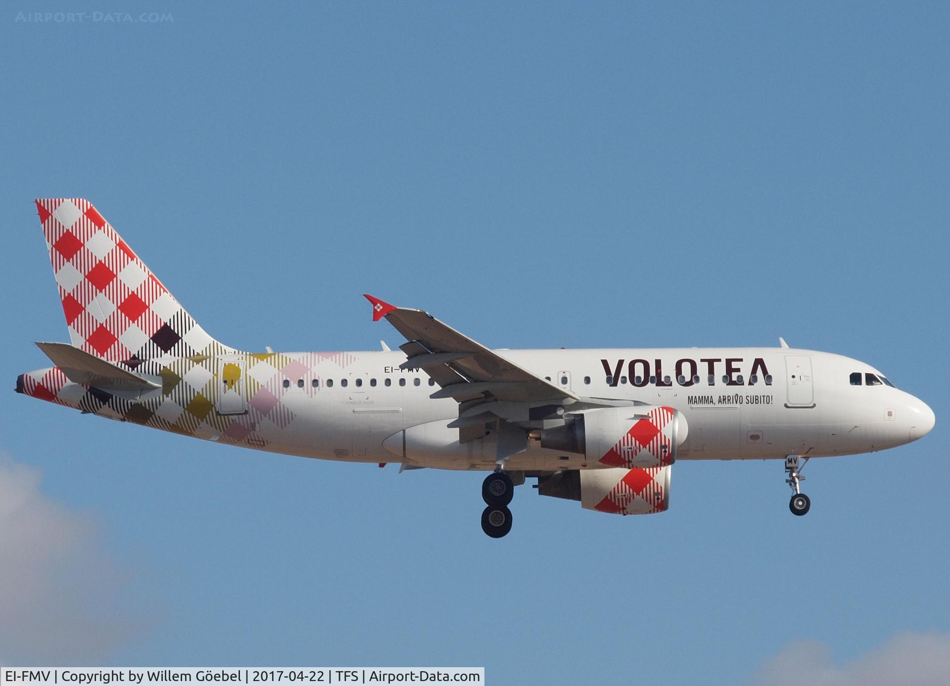 EI-FMV, 2004 Airbus A319-111 C/N 2332, Landing on airport TFS Tenerife
