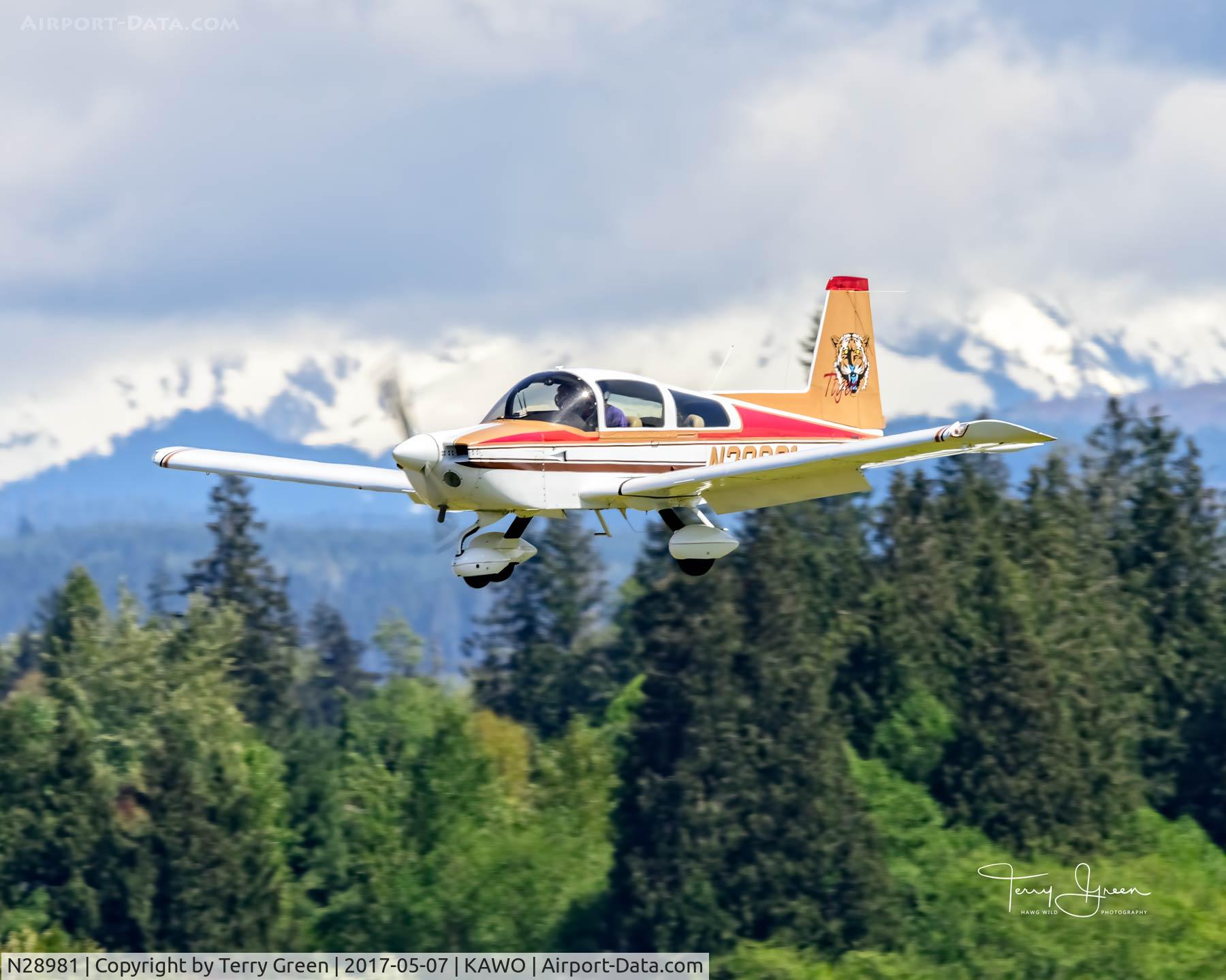 N28981, 1978 Gulfstream American Corp AA-5B C/N AA5B0919, KAWO