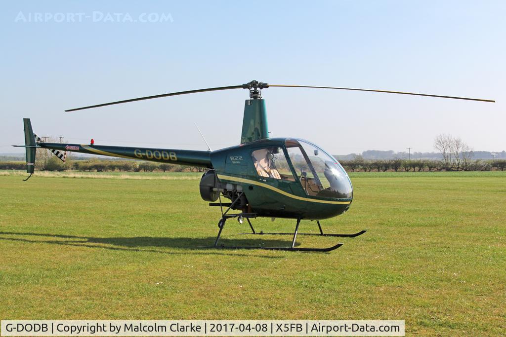 G-DODB, 1988 Robinson R22 Beta C/N 0911, Robinson R22 Beta at Fishburn Airfield UK. April 8th 2017.
