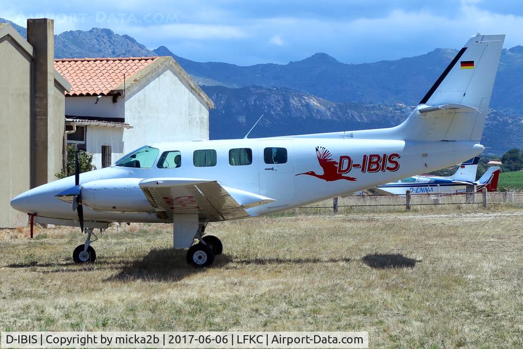 D-IBIS, 1981 Cessna T303 Crusader C/N T30300024, Parked