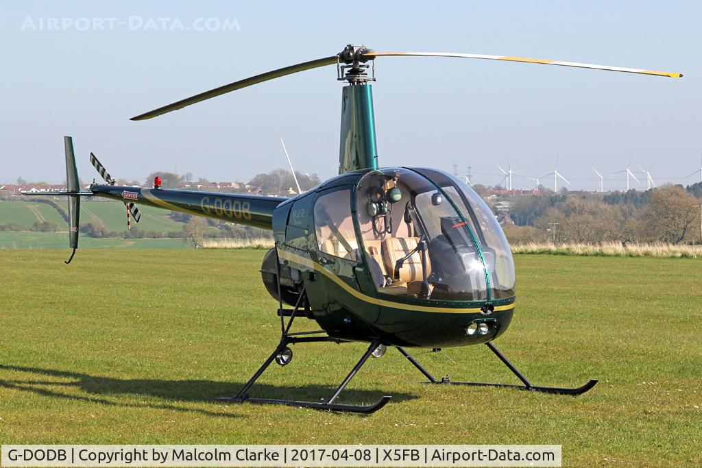 G-DODB, 1988 Robinson R22 Beta C/N 0911, Robinson R22 Beta, Fishburn Airfield UK, April 8th 2017