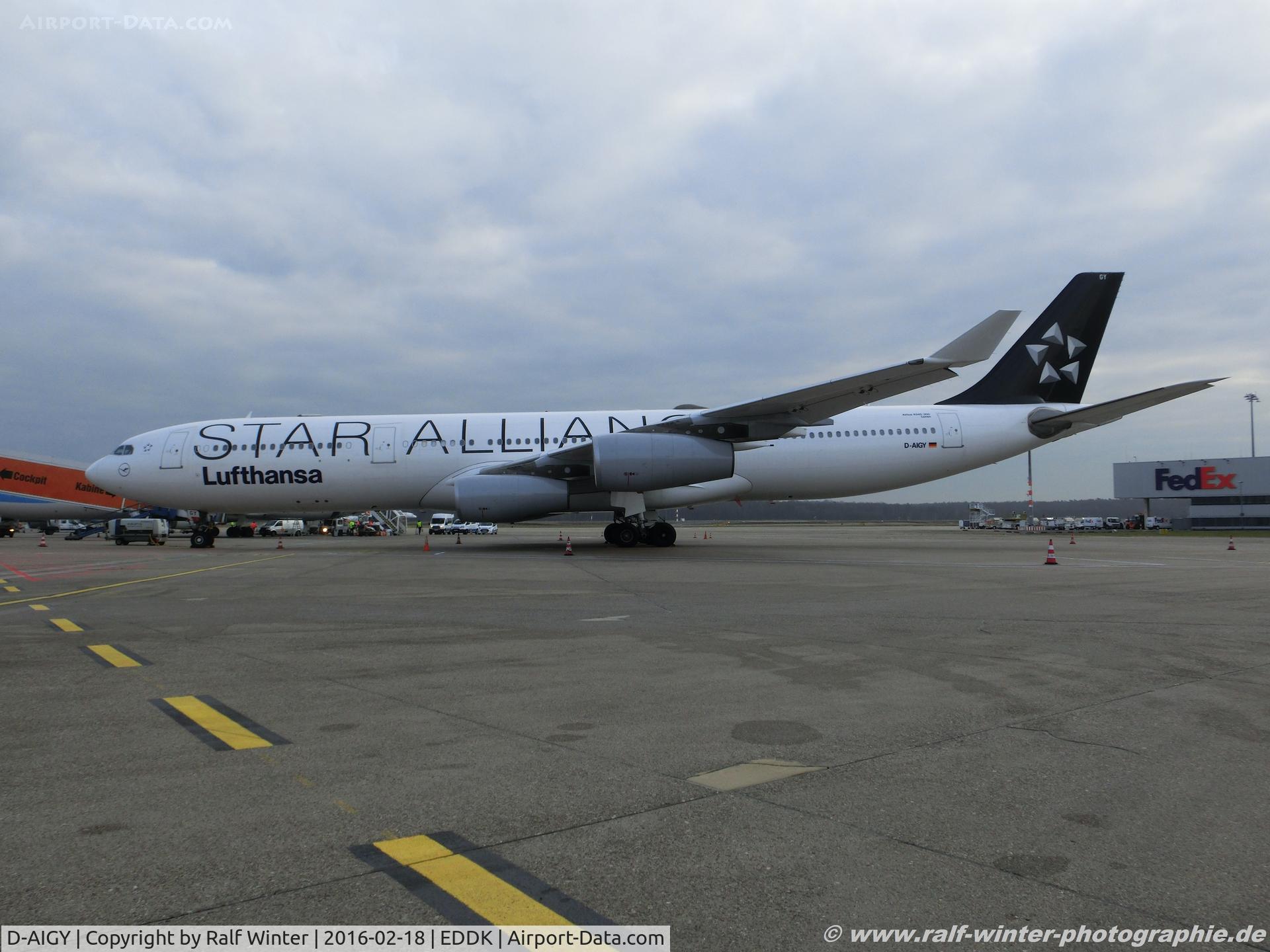 D-AIGY, 2000 Airbus A340-313 C/N 335, Airbus A340-313X - LH DLH Lufthansa 'Lünen' 'Star Alliance livery' - 335 - D-AIGY - 18.02.2016 - CGN
