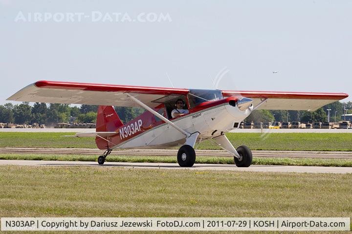 N303AP, 2003 Avipro Bearhawk C/N 02-01/02-444, Bearhawk CN 02-0102-444, N303AP