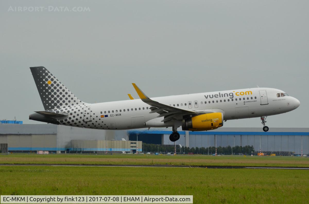EC-MKM, 2016 Airbus A320-232 C/N 7017, VUELING A320