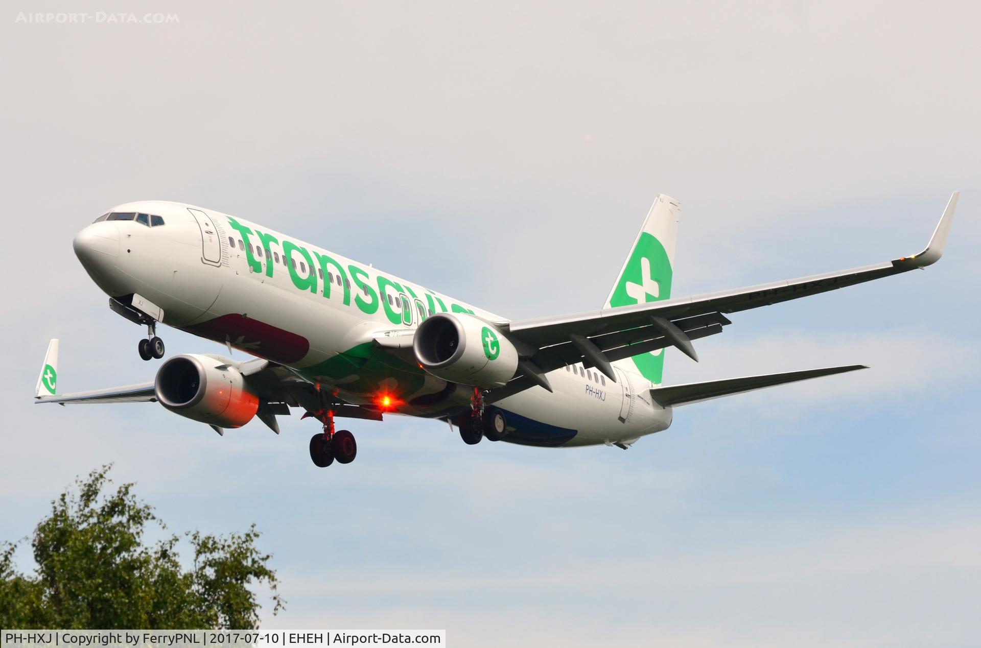 PH-HXJ, 2017 Boeing 737-800 C/N 62159, Transavia B738 appearing over the tree tops.