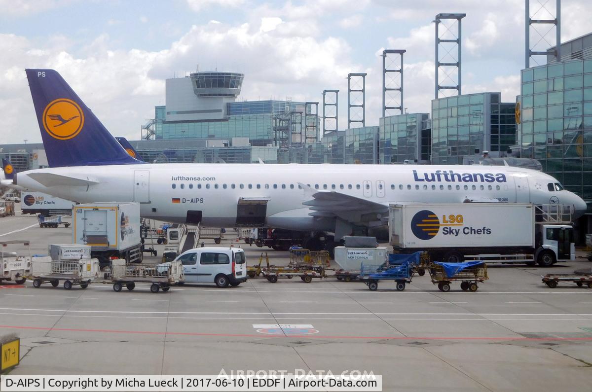 D-AIPS, 1990 Airbus A320-211 C/N 0116, At Frankfurt