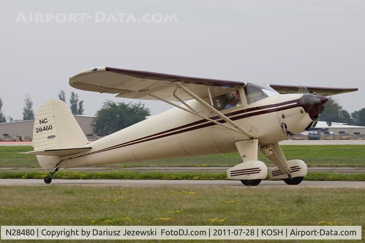 N28480, 1948 Luscombe 8A C/N 1347, Luscombe 8A Luscome Master CN 1347, N28480