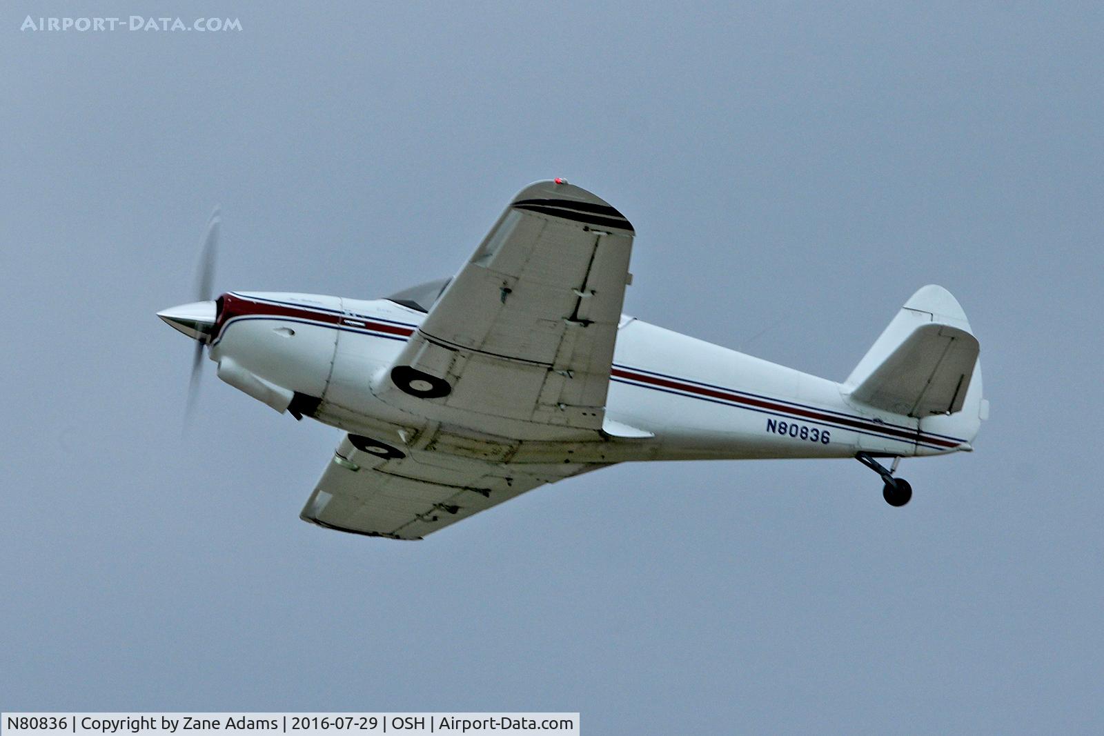 N80836, 1946 Globe GC-1A Swift C/N 239, At the 2016 EAA AirVenture - Oshkosh, Wisconsin