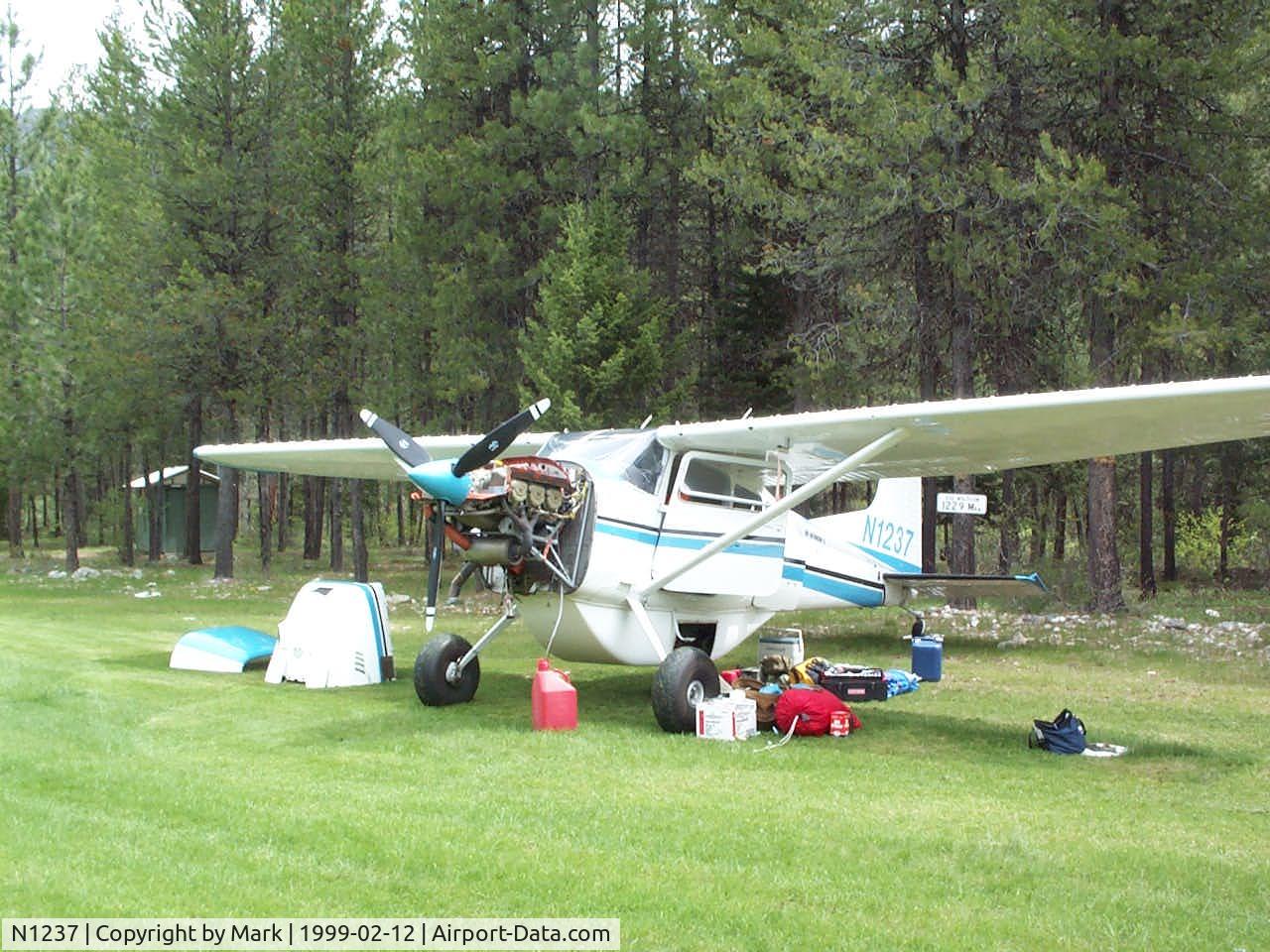 N1237, 1980 Cessna A185F Skywagon 185 C/N 18504021, Changing oil at 3U2 on way home from Alaska