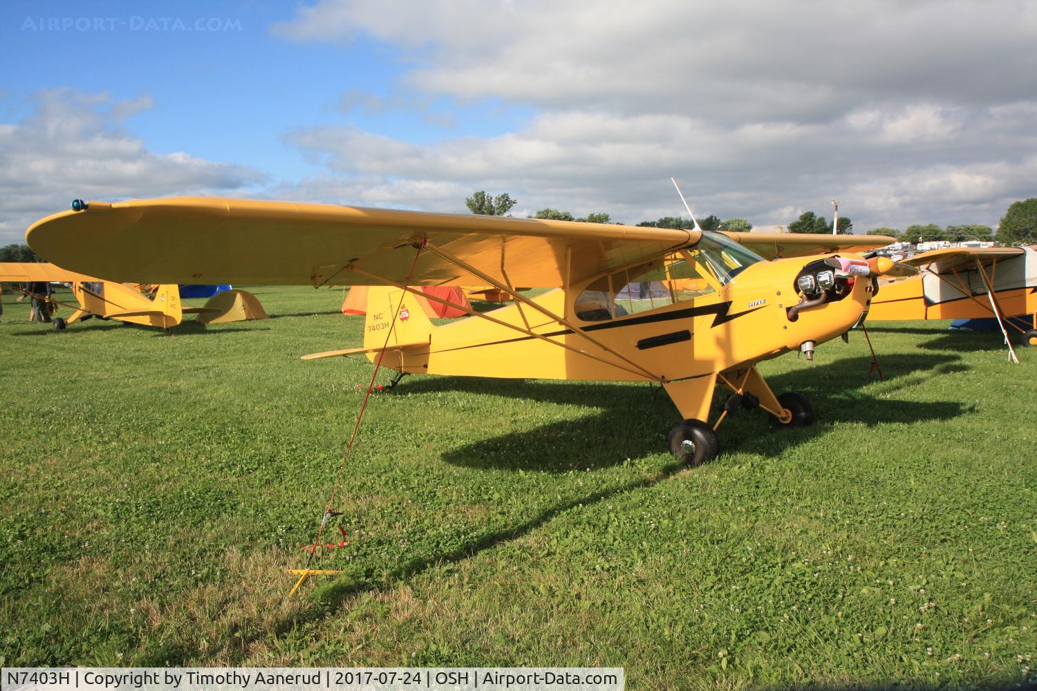 N7403H, Piper J3C-65 Cub Cub C/N 20667, Piper J3C-65, c/n: 20667