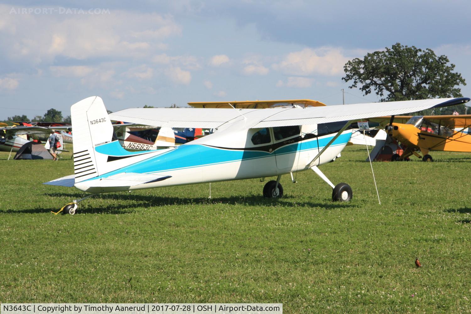 N3643C, Cessna 180 C/N 31141, Cessna 180, c/n: 31141