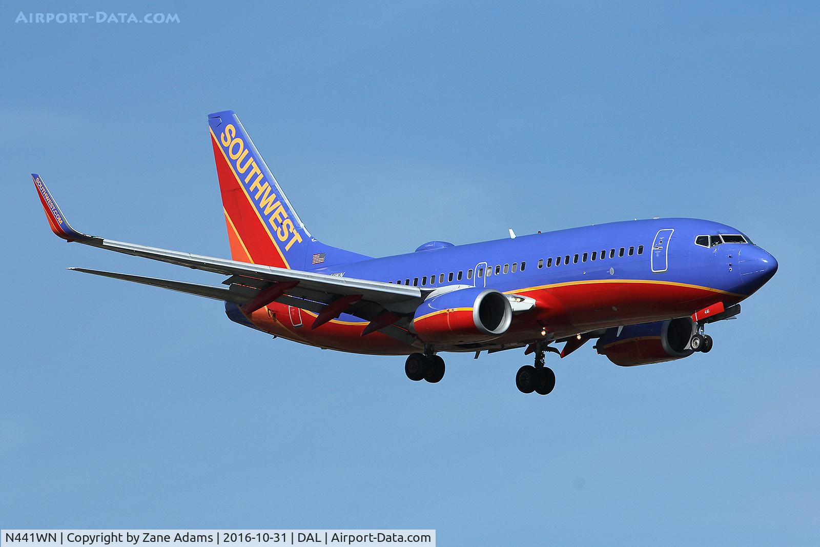 N441WN, 2003 Boeing 737-7H4 C/N 29837, Dallas Love Field