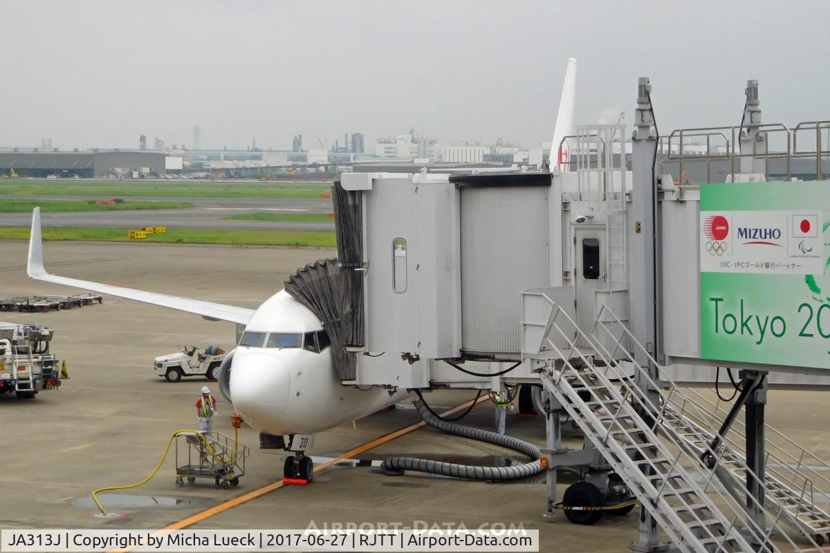 JA313J, 2008 Boeing 737-846 C/N 35342, At Haneda