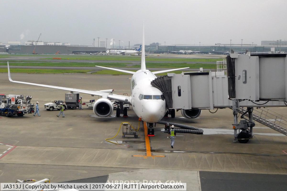 JA313J, 2008 Boeing 737-846 C/N 35342, At Haneda