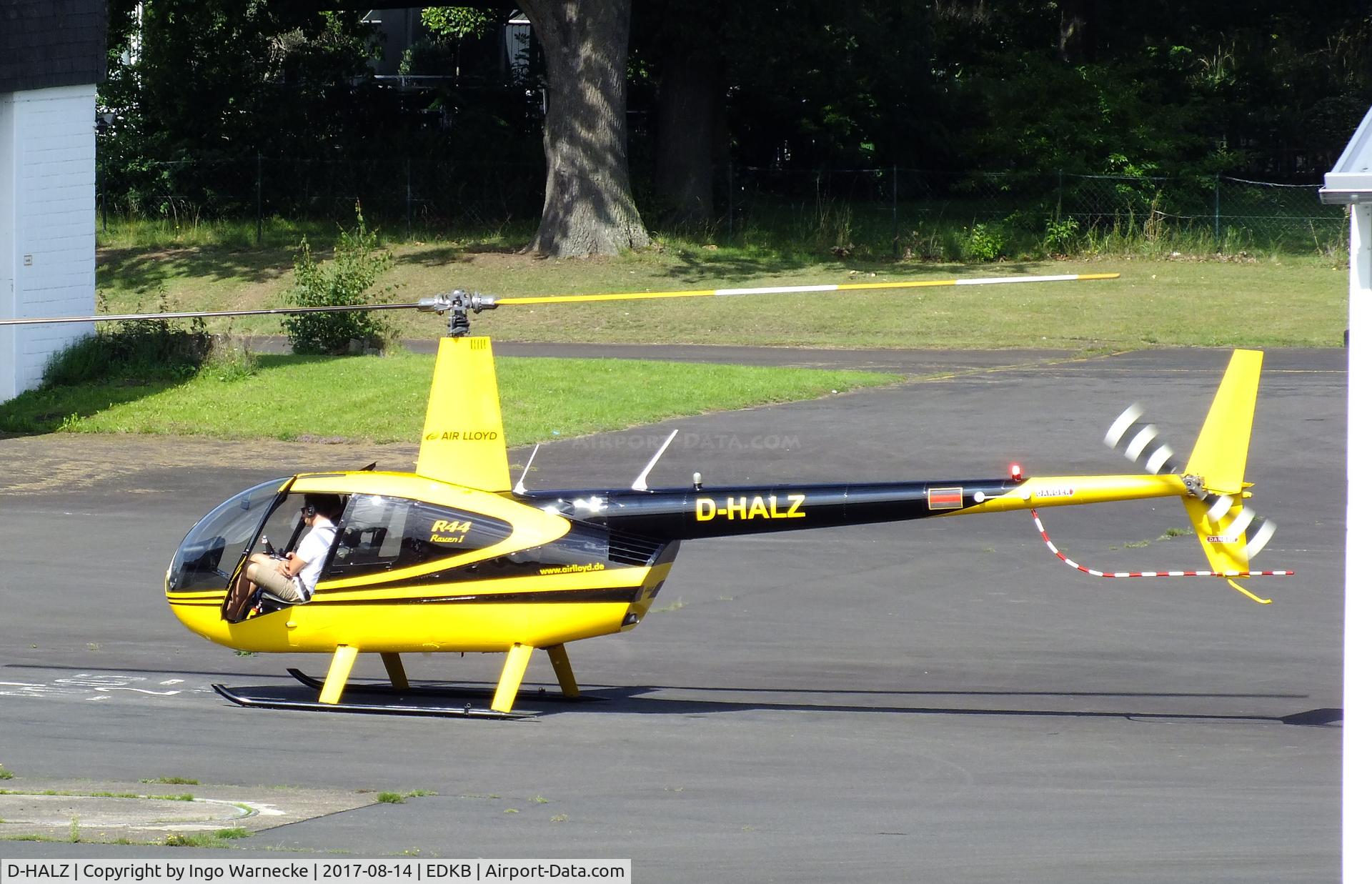 D-HALZ, 2004 Robinson R44 Raven C/N 1424, Robinson R44 Raven of Air Lloyd at Bonn-Hangelar airfield