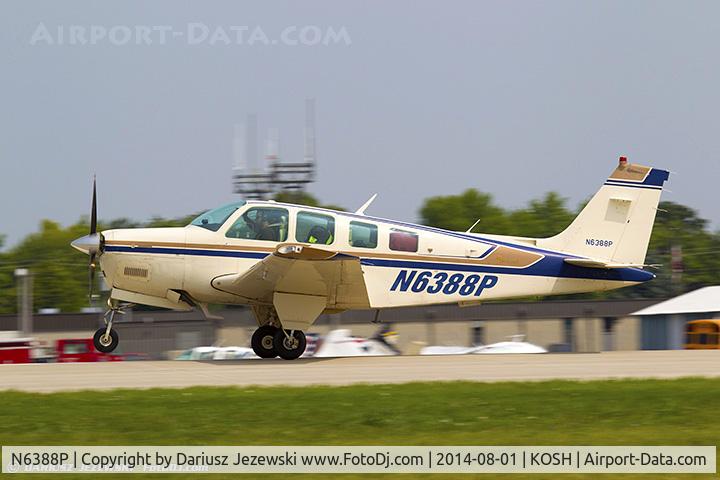 N6388P, 1981 Beech A36 Bonanza 36 C/N E-1991, Beech A36 Bonanza 36  C/N E-1991, N6388P