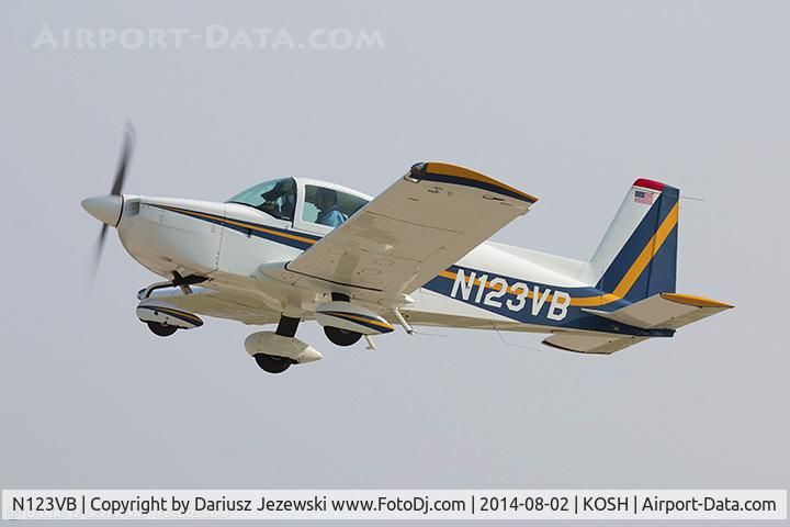 N123VB, 1991 American General AG-5B Tiger C/N 10056, American General Acft Corp AG-5B Tiger  C/N 10056, N123VB