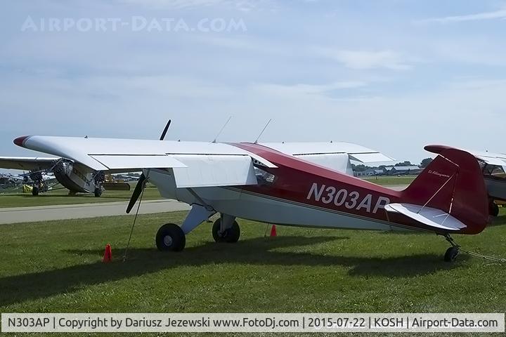 N303AP, 2003 Avipro Bearhawk C/N 02-01/02-444, Bearhawk  C/N 02-01/02-444, N303AP