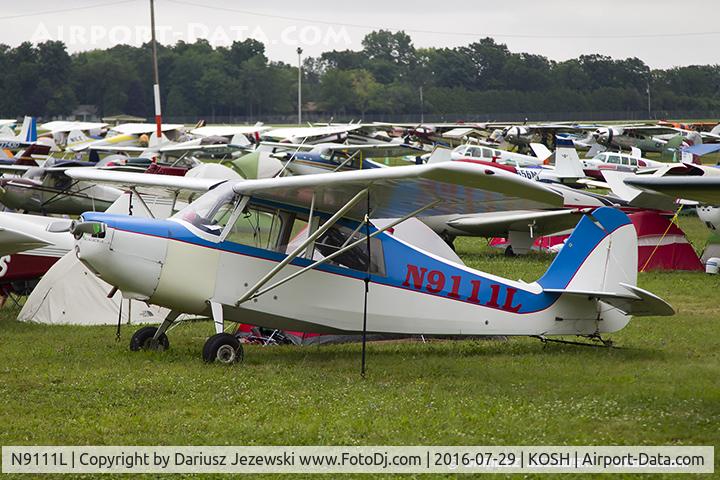 N9111L, 1971 Bellanca 7ACA C/N 2-71, Bellanca 7ACA Citabria  C/N 25965, N9111L