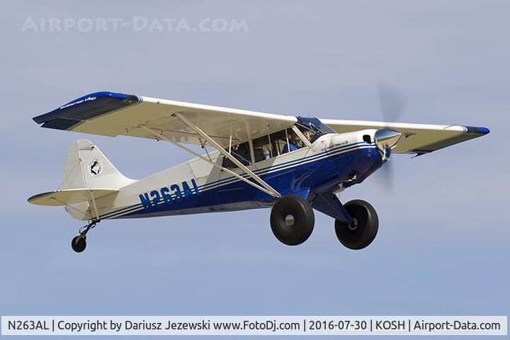 N263AL, 2007 Aviat A-1B Husky C/N 2426, Aviat A-1B Husky  C/N 2426, N263AL