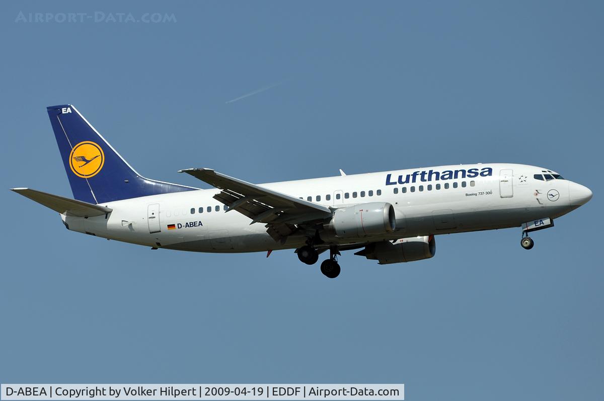 D-ABEA, 1990 Boeing 737-330 C/N 24565, at fra