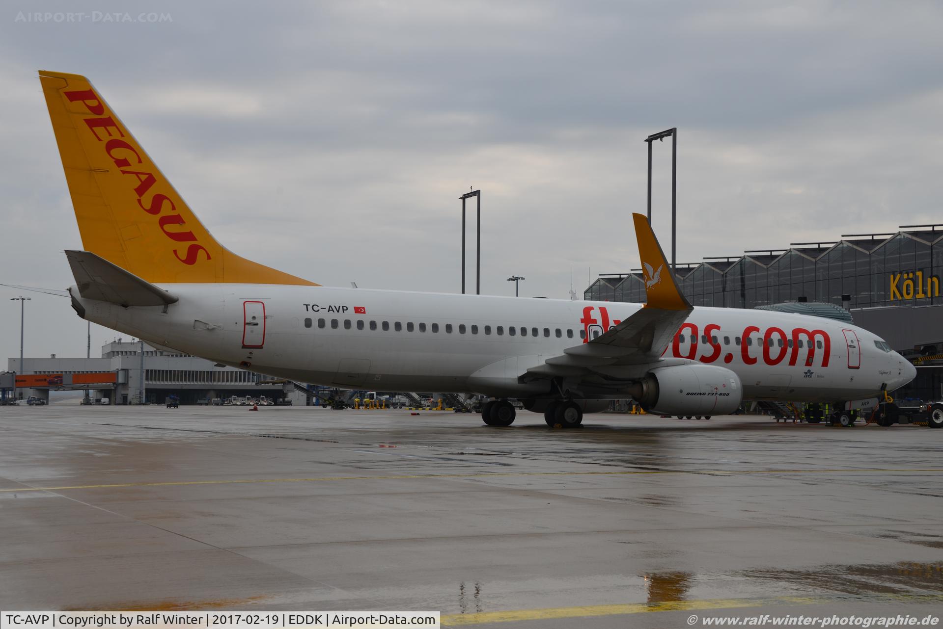 TC-AVP, 2011 Boeing 737-82R C/N 38175, Boeing 737-82R(W) - H9 PGT Pegasus Airlines 'Yagmur A.' - 38175 - TC-AVP - 19.02.2017 - CGN
