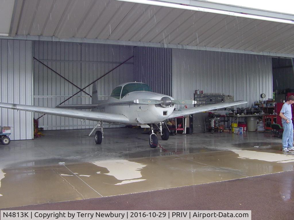 N4813K, 1949 Ryan Navion C/N NAV-4-1813, Private Air strip north west Alabama
