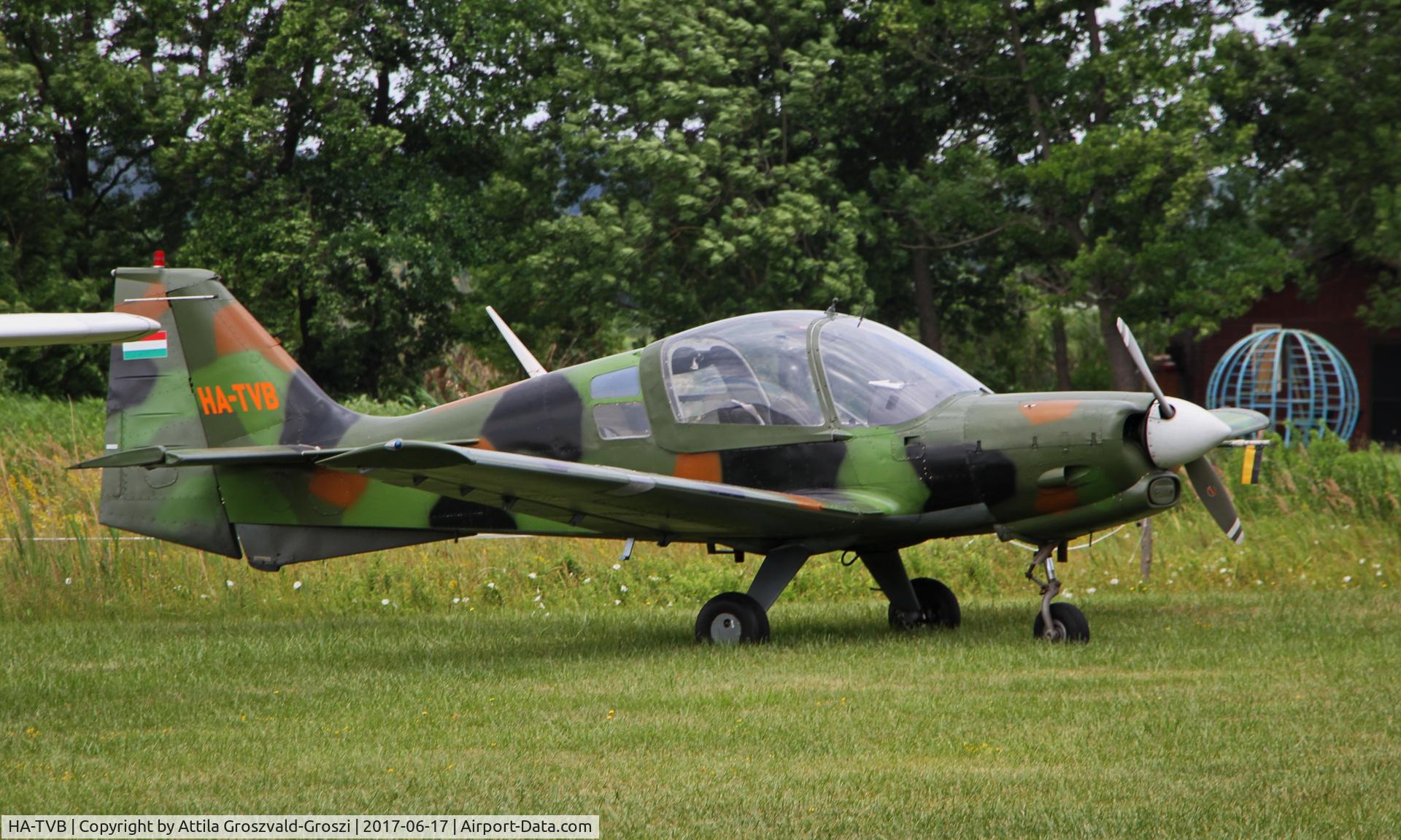 HA-TVB, 1971 Scottish Aviation Sk.61D Bulldog C/N 102, Balatonkeresztúr Airfield, Hungary