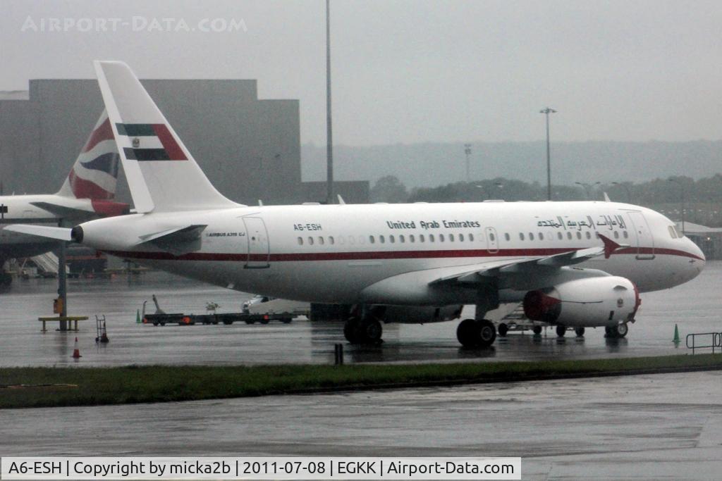 A6-ESH, 2000 Airbus VC-1A (A319-133/CJ) C/N 0910, Parked