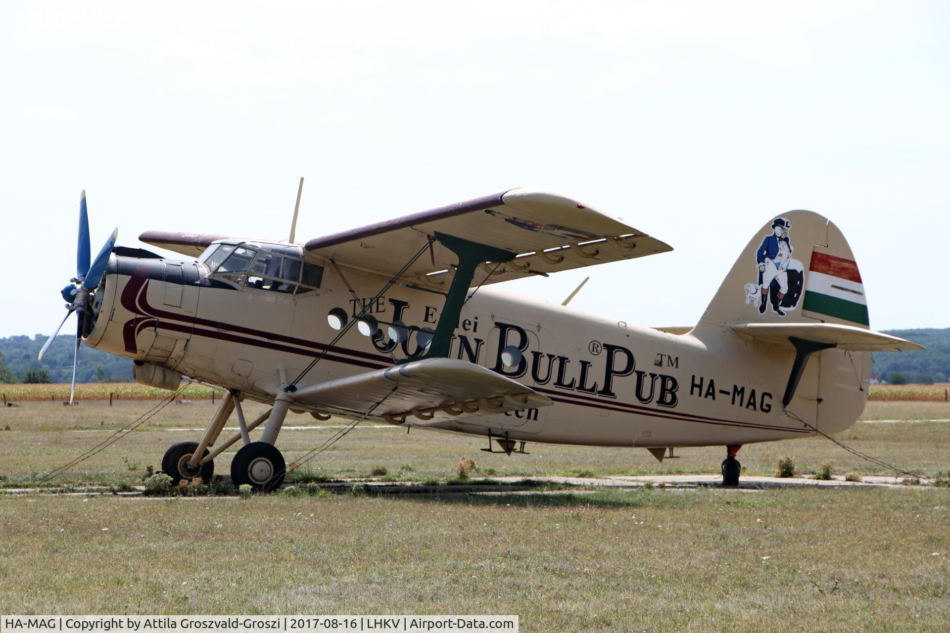 HA-MAG, Antonov (PZL-Mielec) An-2P C/N 1G114-36, Kaposújlak Airport, Hungary