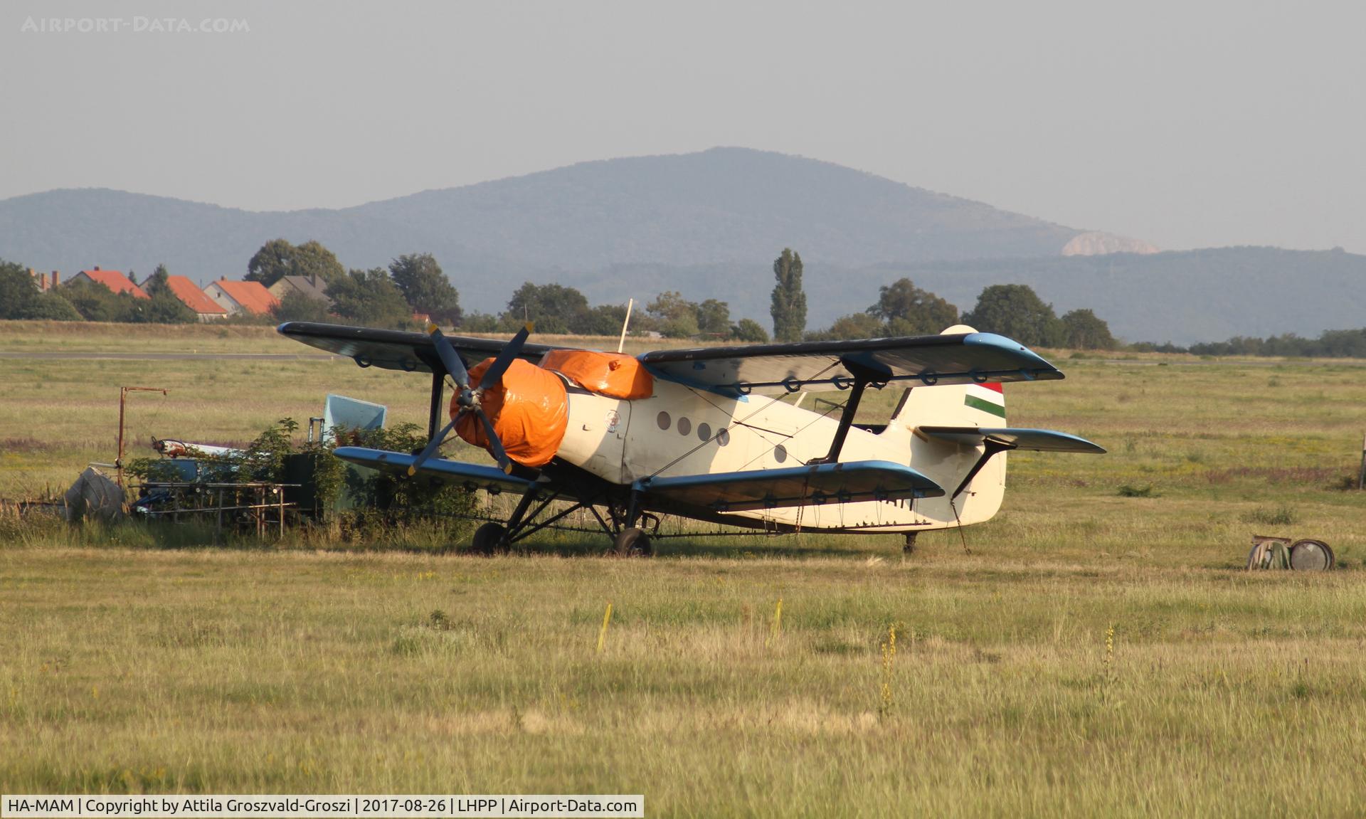 HA-MAM, 1984 PZL-Mielec An-2R C/N 1G208-44, Pécs-Pogány Airport, Hungary