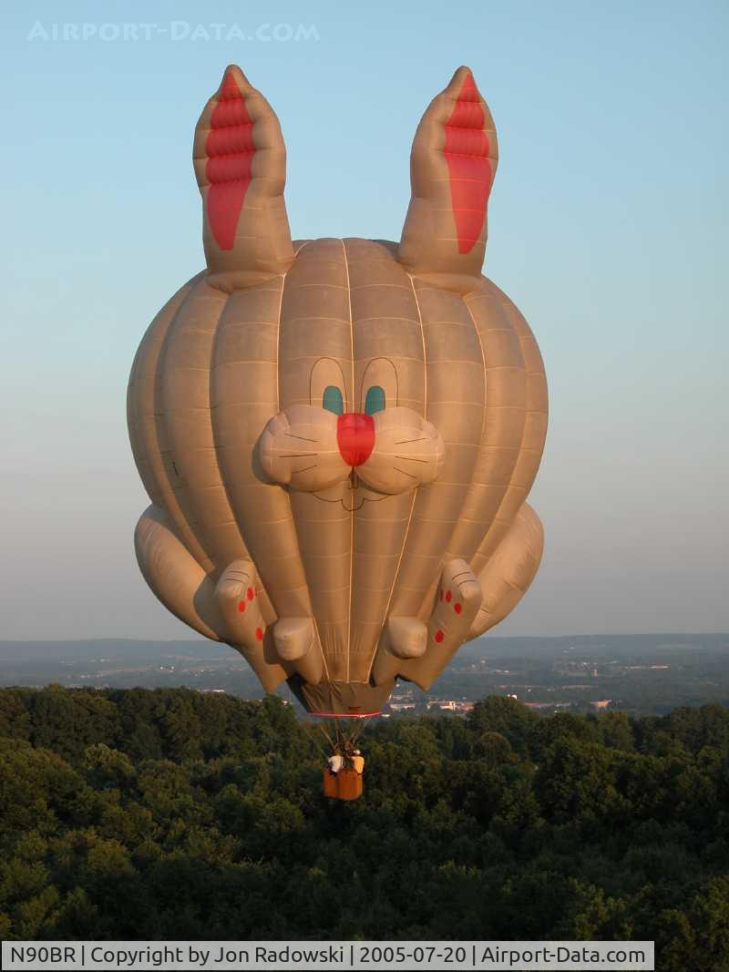 N90BR, 1990 Balloon Works FIREFLY 8B C/N F8B-312, Fred B Rabbit Hot Air Balloon