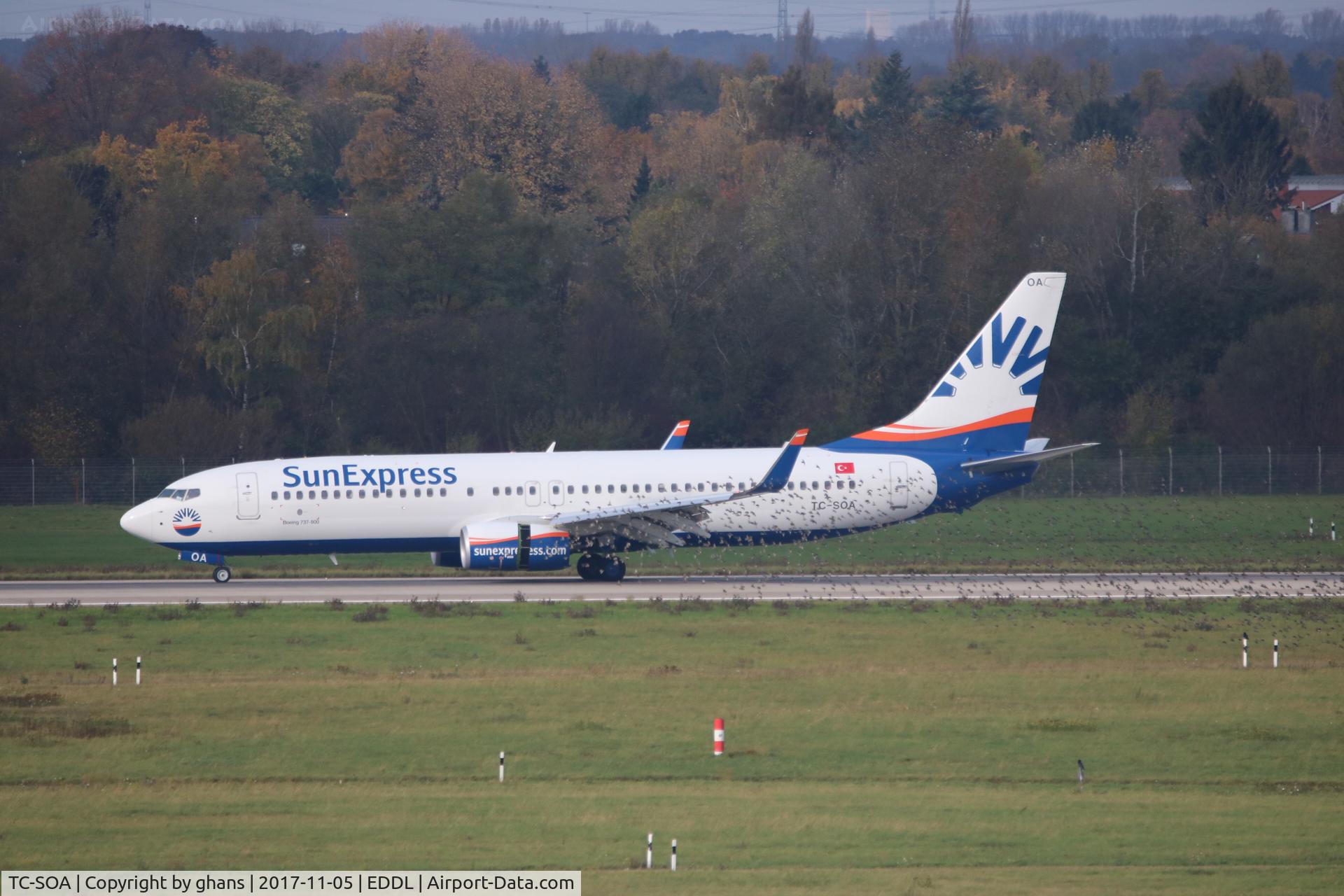 TC-SOA, 2016 Boeing 737-8HC C/N 61184, How many birds fit in a Boeing 737.8 ??!!