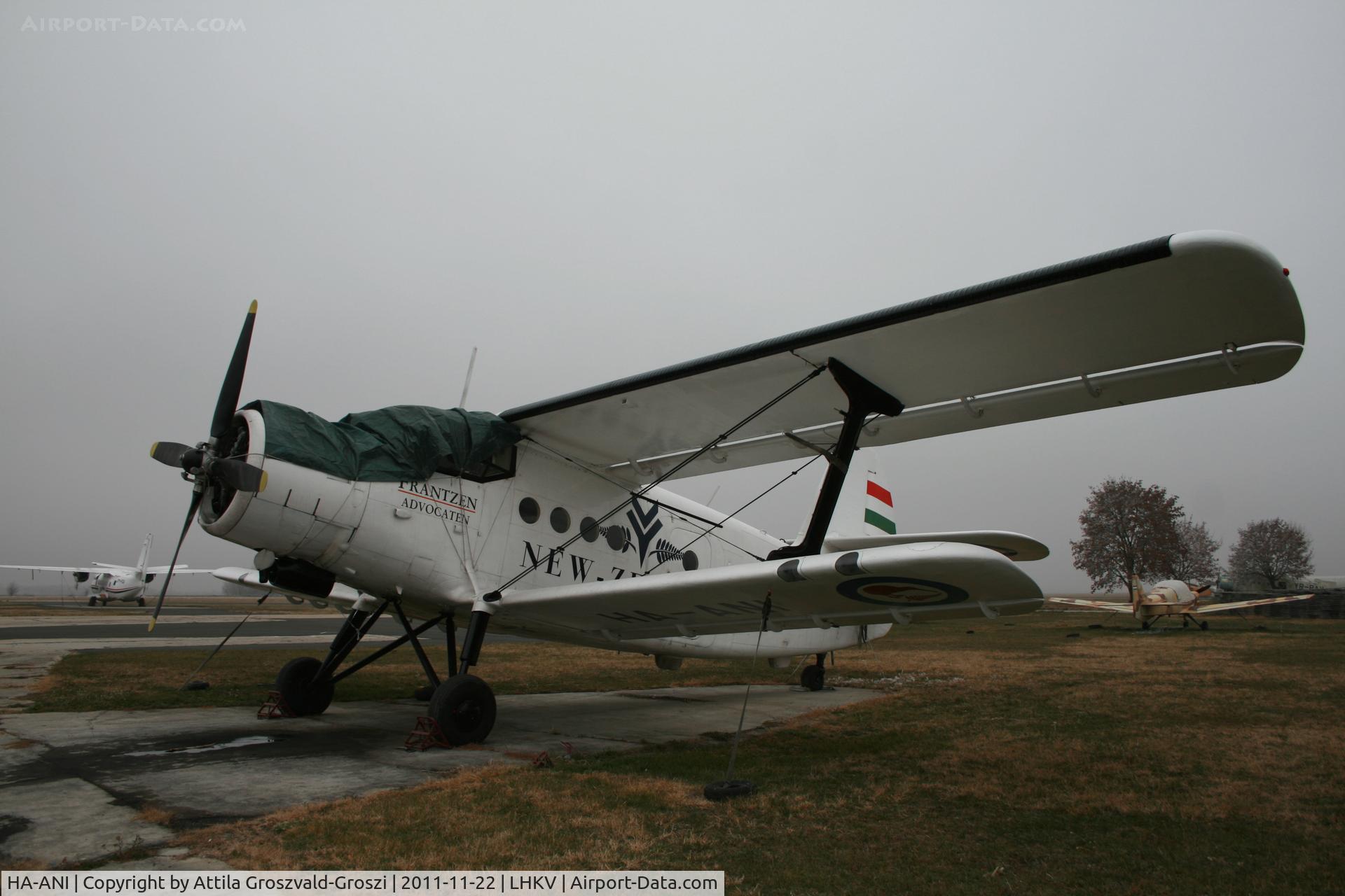 HA-ANI, 1972 Antonov An-2P C/N 1G132-55, Kaposújlak Airport, Hungary