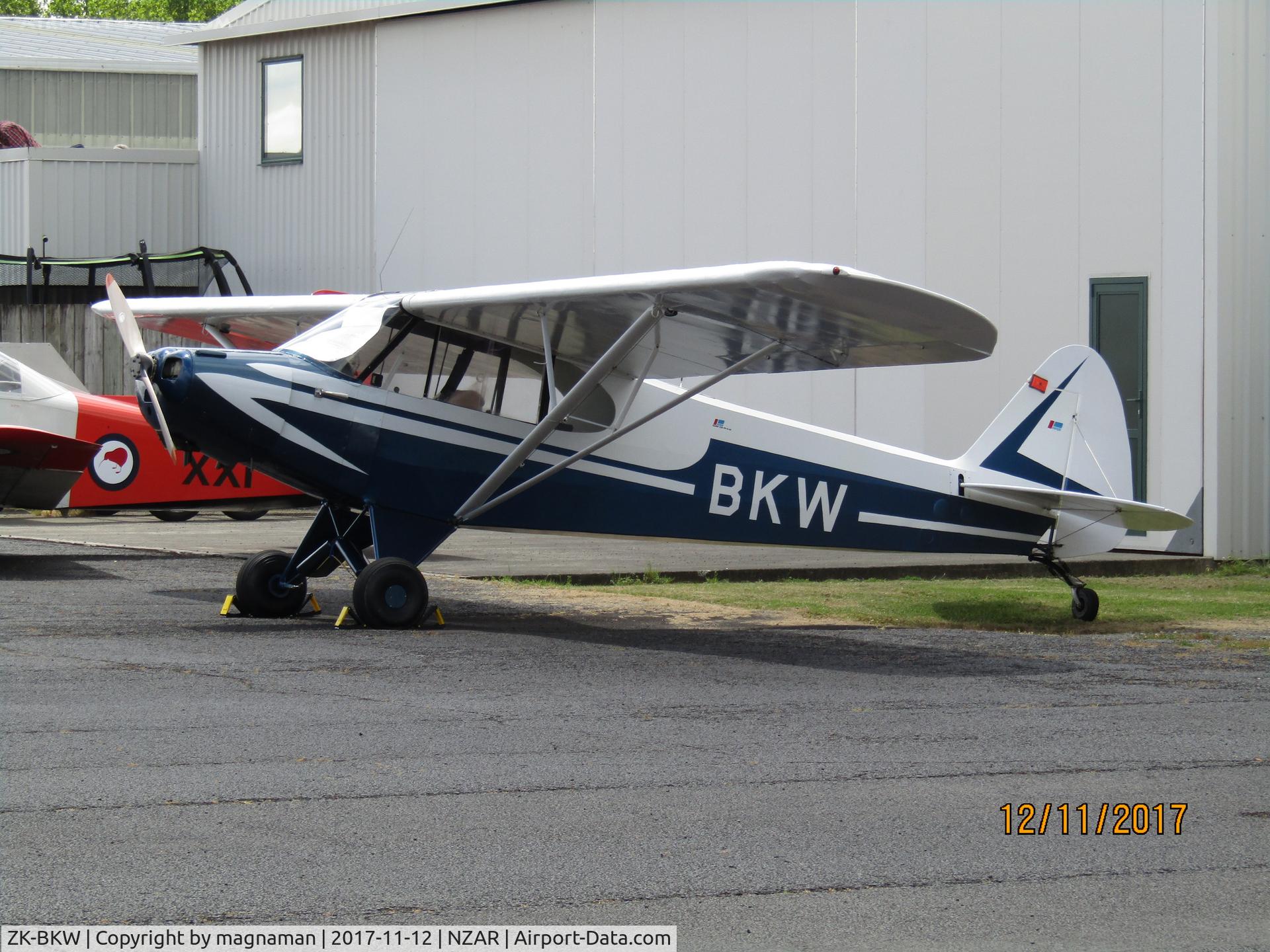 ZK-BKW, 1957 Piper PA-18 C/N 18-4673, ressy cub out for inspection