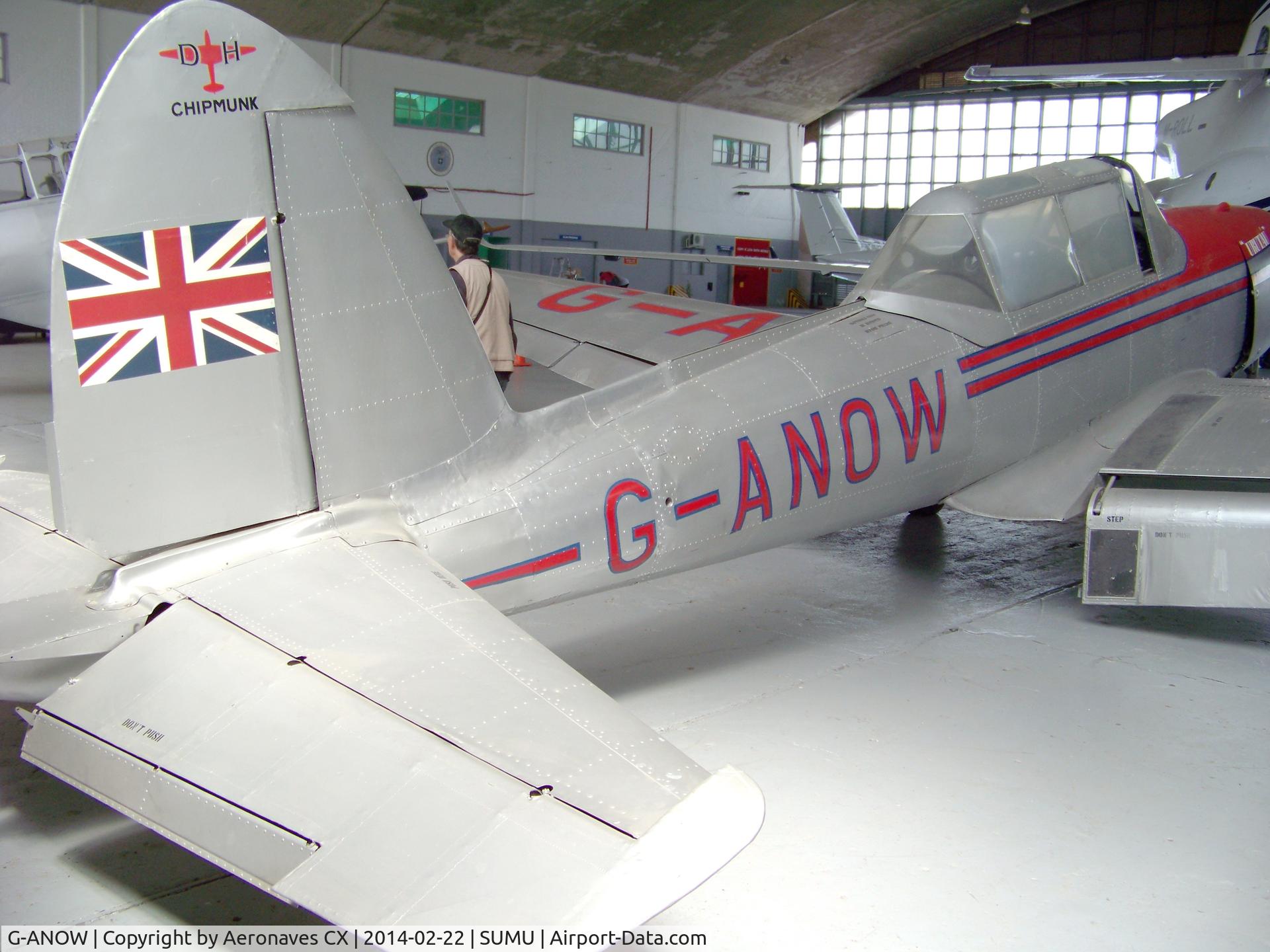 G-ANOW, 1954 De Havilland DHC-1 Chipmunk 21 C/N C1/0972, En Museo Aeronáutico 