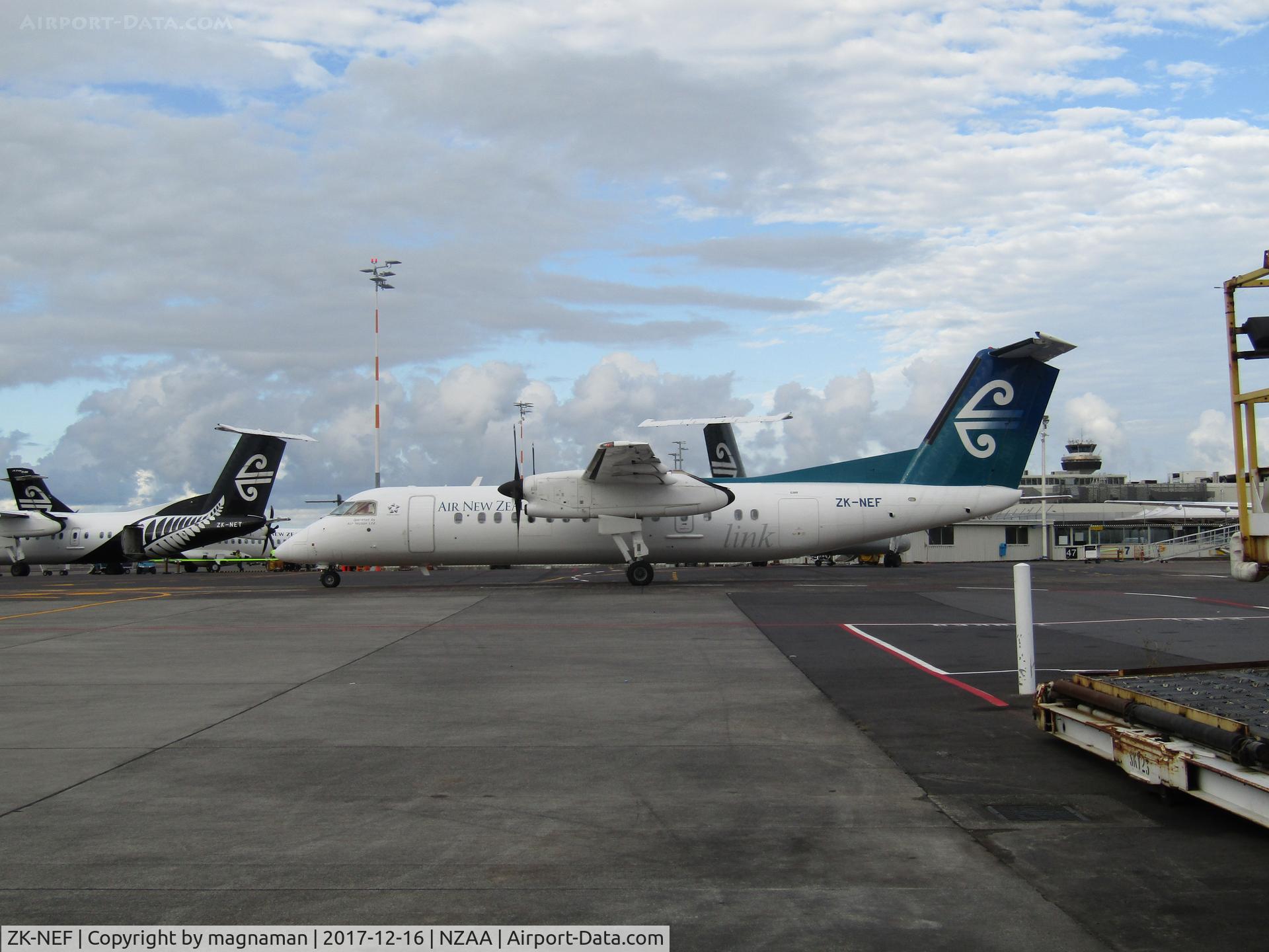 ZK-NEF, 2005 De Havilland Canada DHC-8-311 Dash 8 C/N 620, one of a few left in old c/s