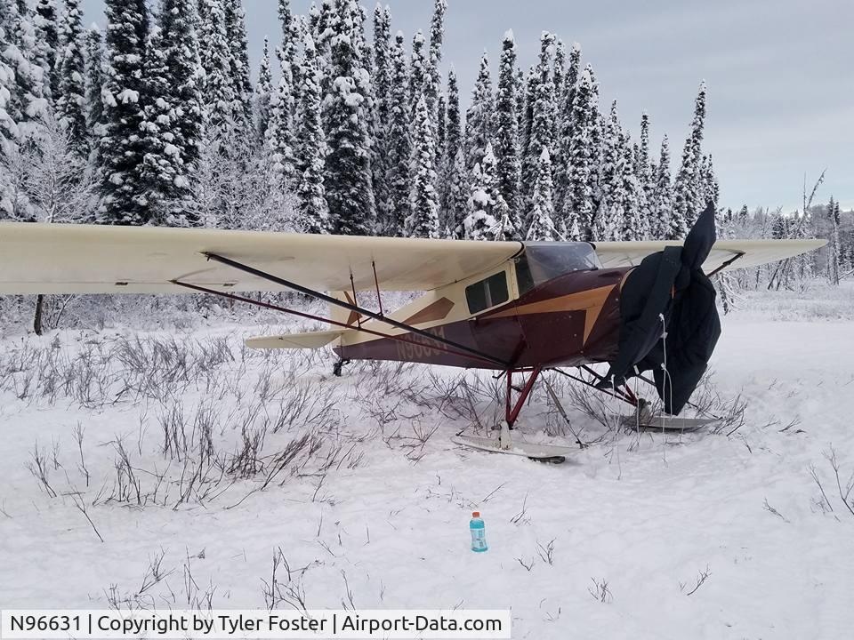 N96631, 1946 Taylorcraft BC12-D C/N 8931, Ryan's T-Craft
