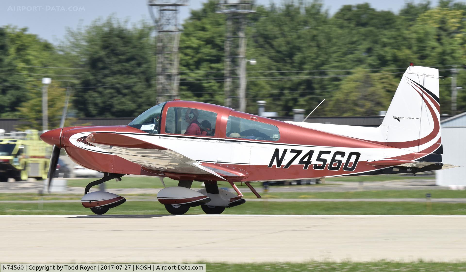 N74560, 1976 Grumman American AA-5B Tiger C/N AA5B-0251, Airventure 2017