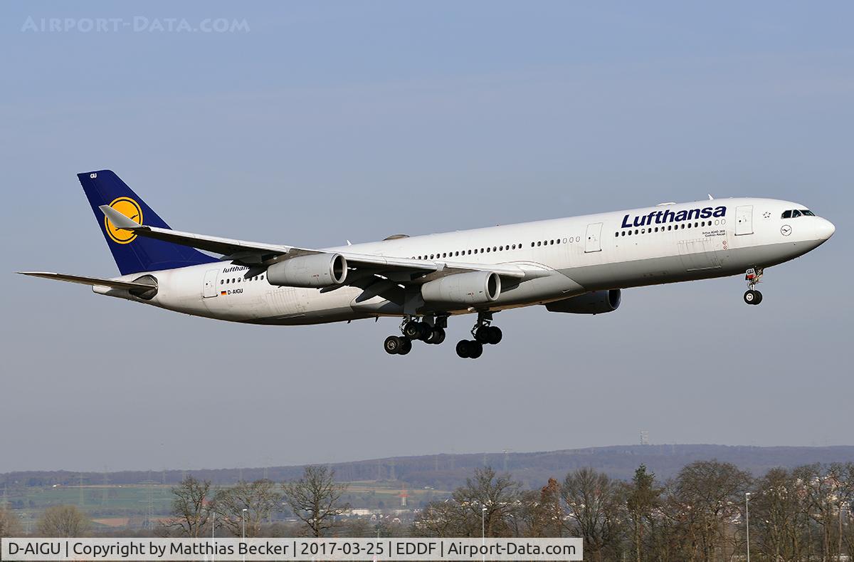 D-AIGU, 2000 Airbus A340-313 C/N 321, D-AIGU