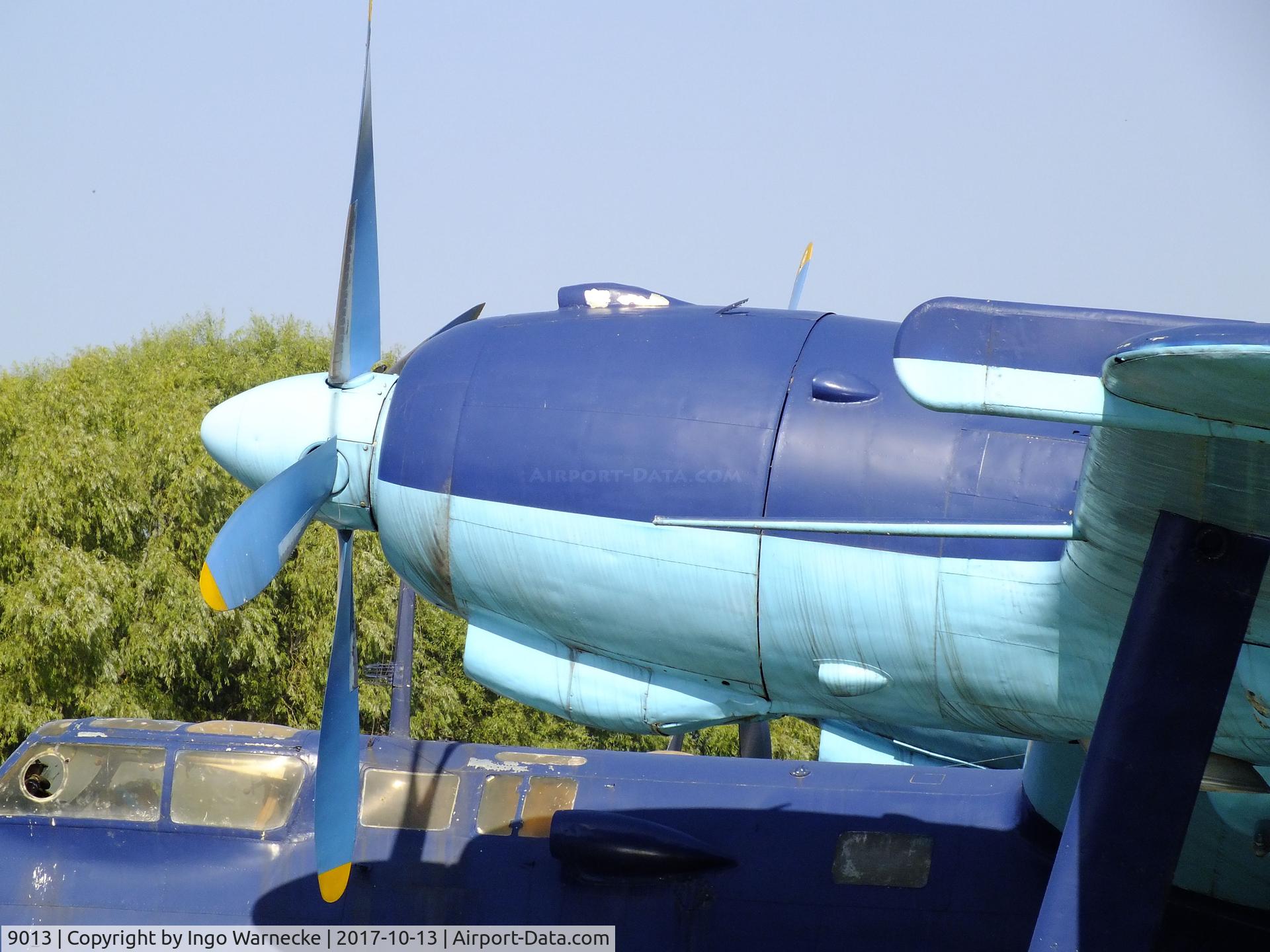 9013, Beriev Be-6P C/N 9013, Beriev Be-6 (Qing-6 re-engined with Wopen WJ-6 turboprops) at the China Aviation Museum Datangshan
