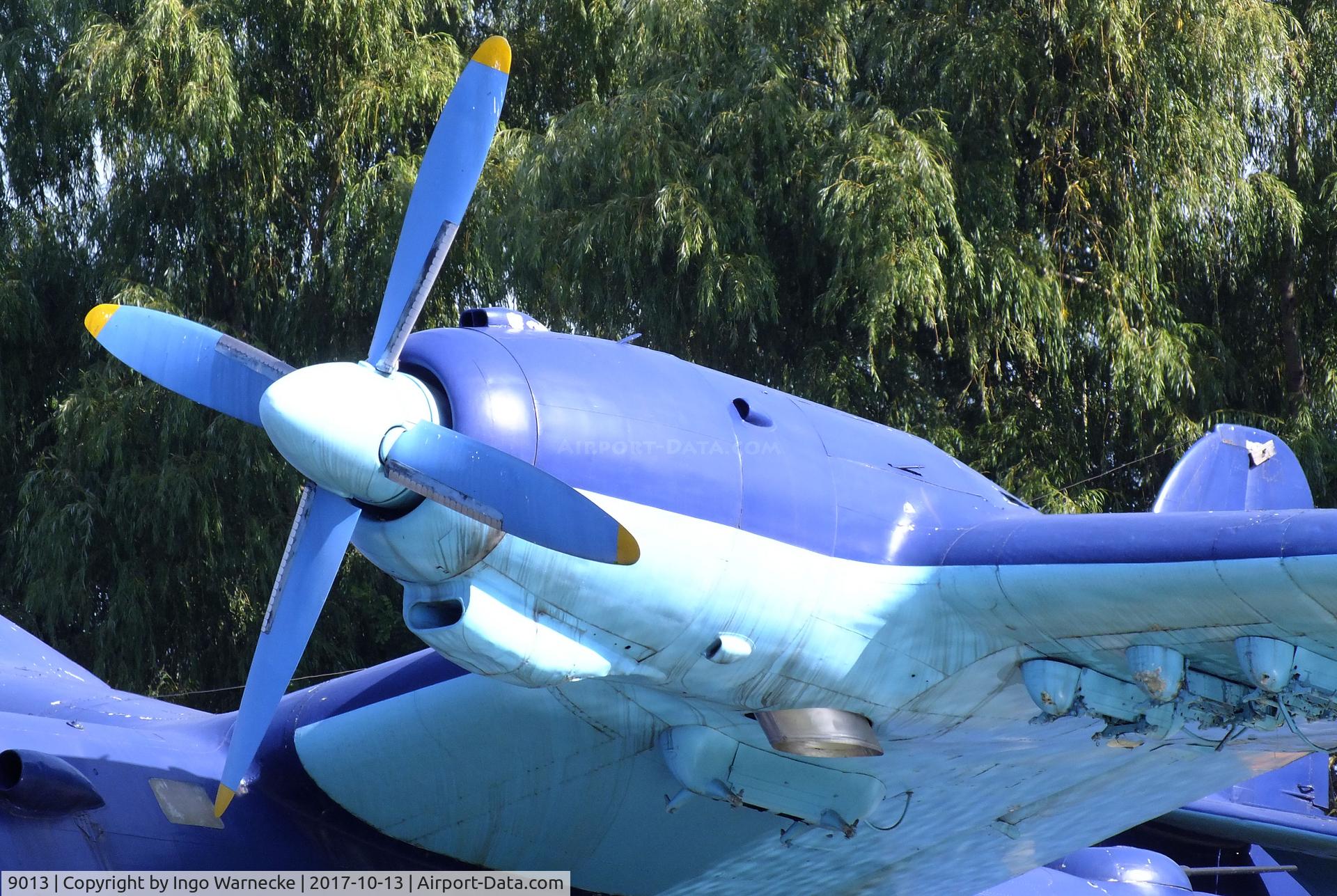9013, Beriev Be-6P C/N 9013, Beriev Be-6 (Qing-6 re-engined with Wopen WJ-6 turboprops) at the China Aviation Museum Datangshan