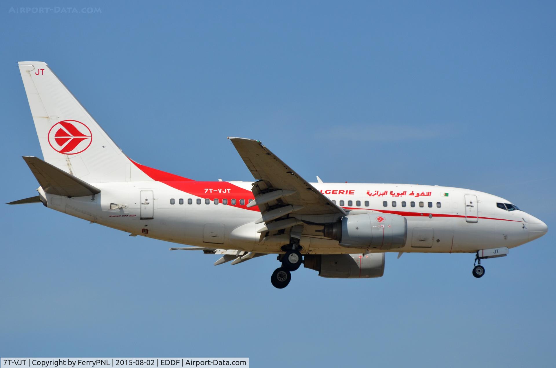 7T-VJT, 2002 Boeing 737-6D6 C/N 30546, Air Algerie B736 landing in FRA
