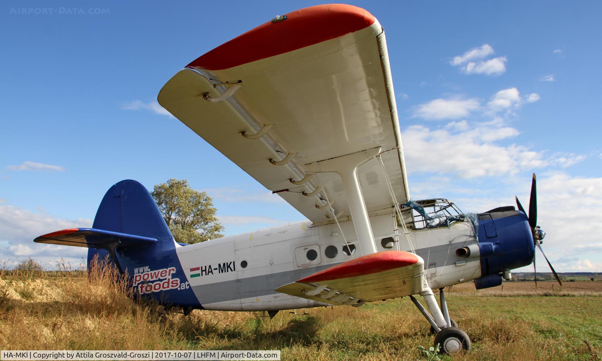 HA-MKI, 1973 Antonov An-2 C/N 1G153-36, Meidl Airport, Fertöszentmiklós - Hungary