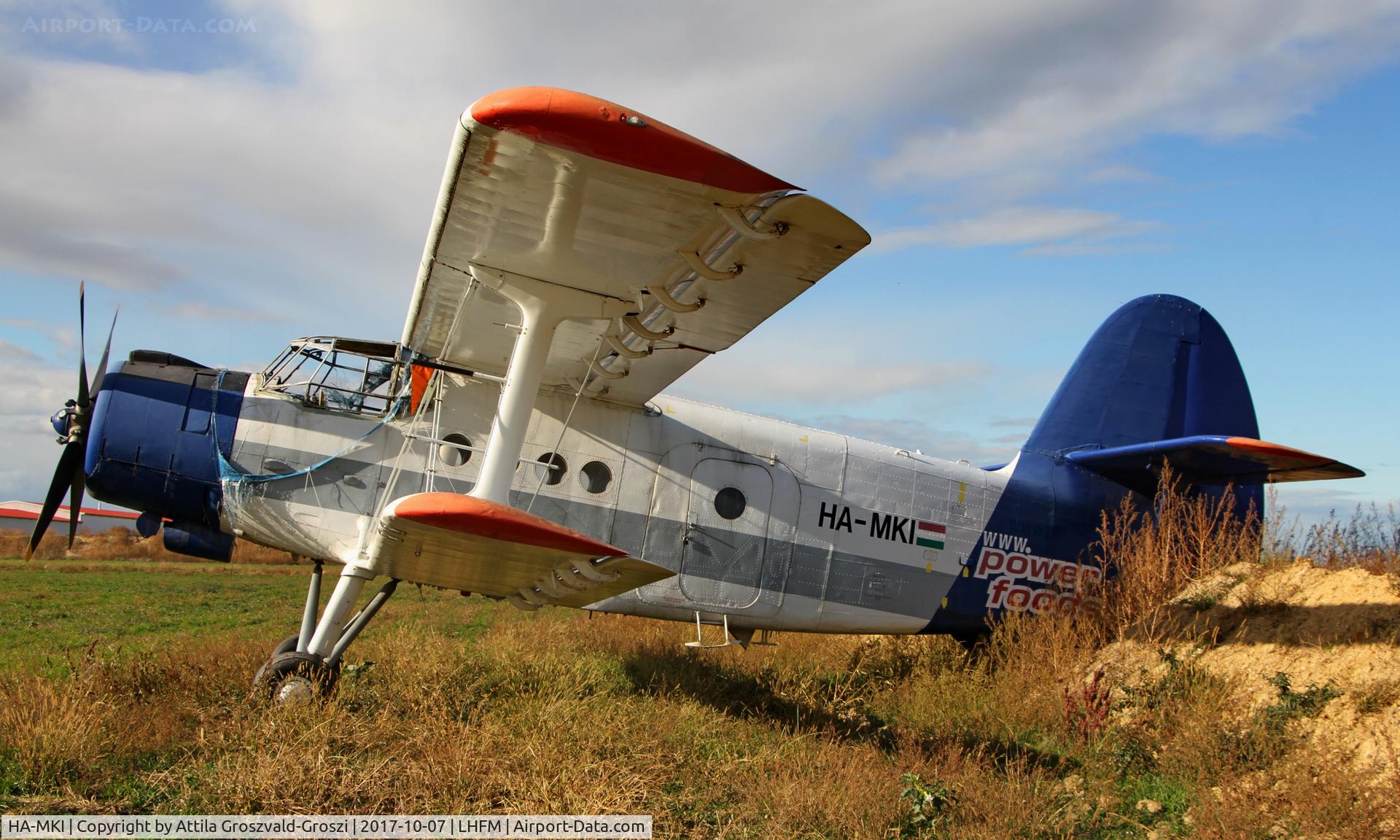HA-MKI, 1973 Antonov An-2 C/N 1G153-36, Meidl Airport, Fertöszentmiklós - Hungary