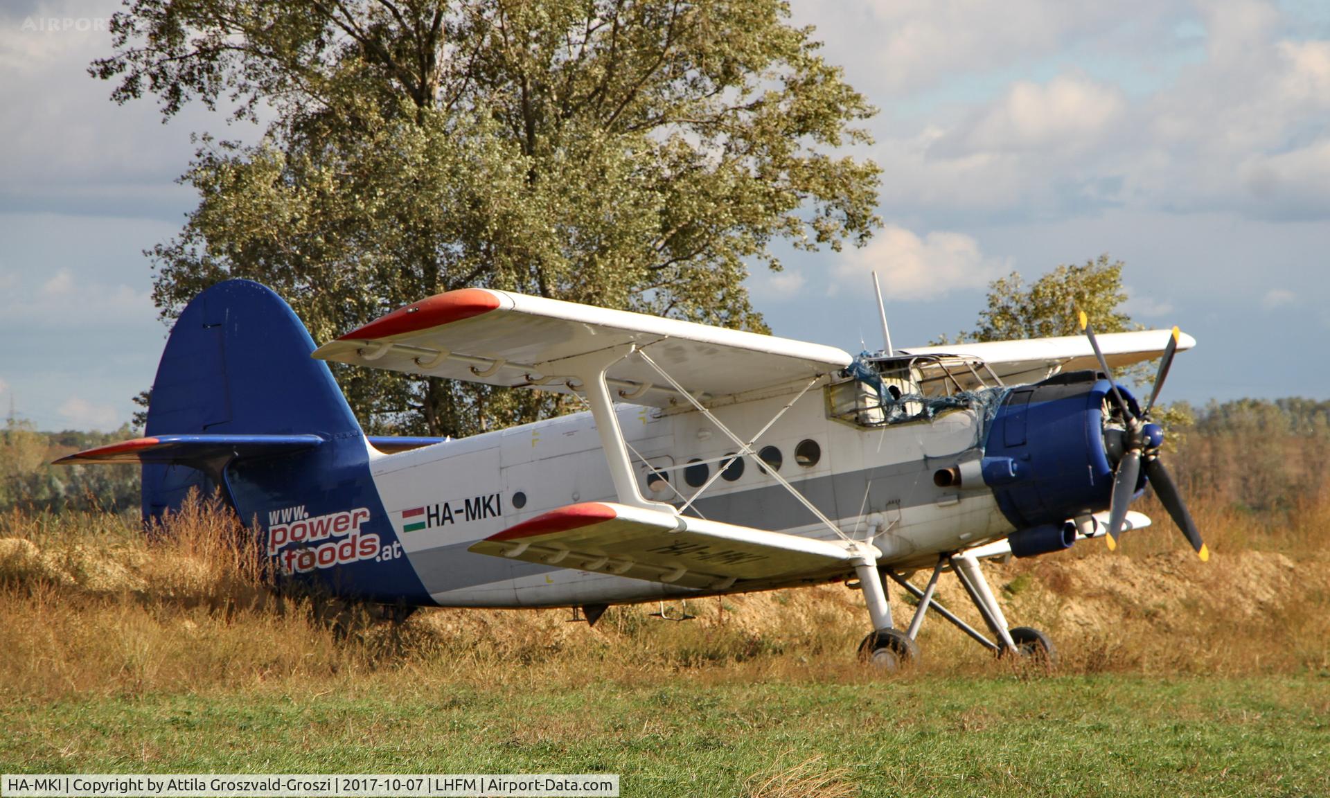 HA-MKI, 1973 Antonov An-2 C/N 1G153-36, Meidl Airport, Fertöszentmiklós - Hungary