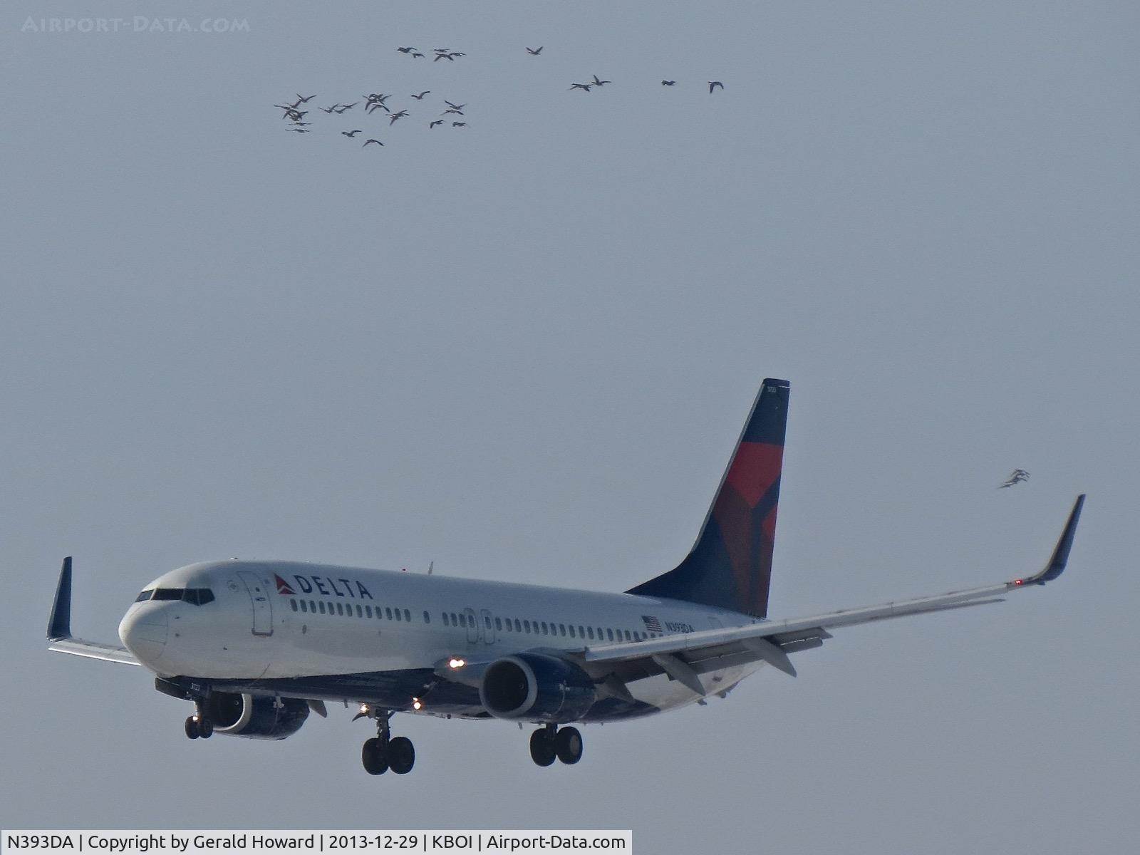 N393DA, 2000 Boeing 737-832 C/N 30377, Ducking under the geese while landing RWY 10L.