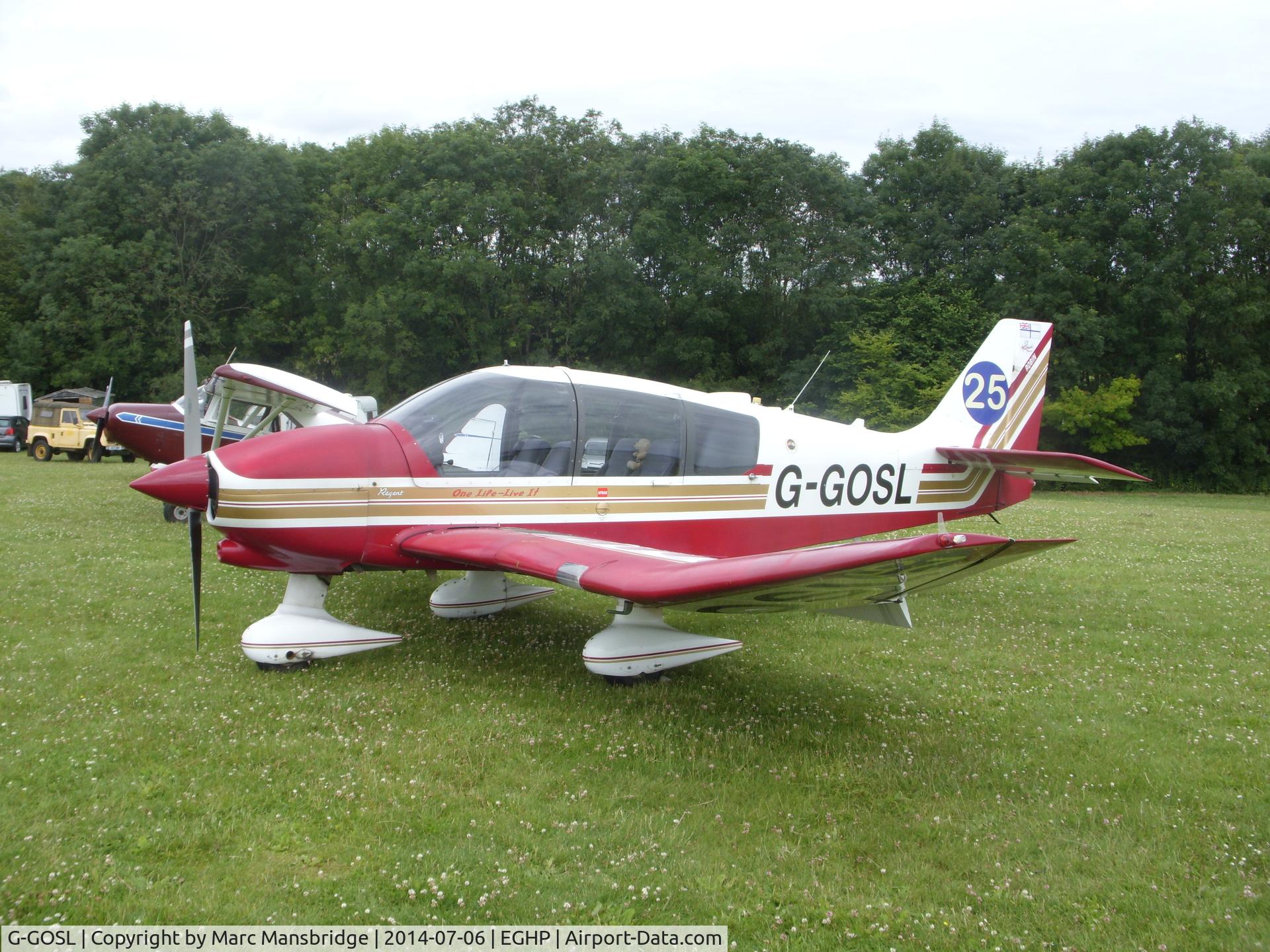 G-GOSL, 1990 Robin DR-400-180 Regent Regent C/N 1974, Visiting Popham airfield EGHP