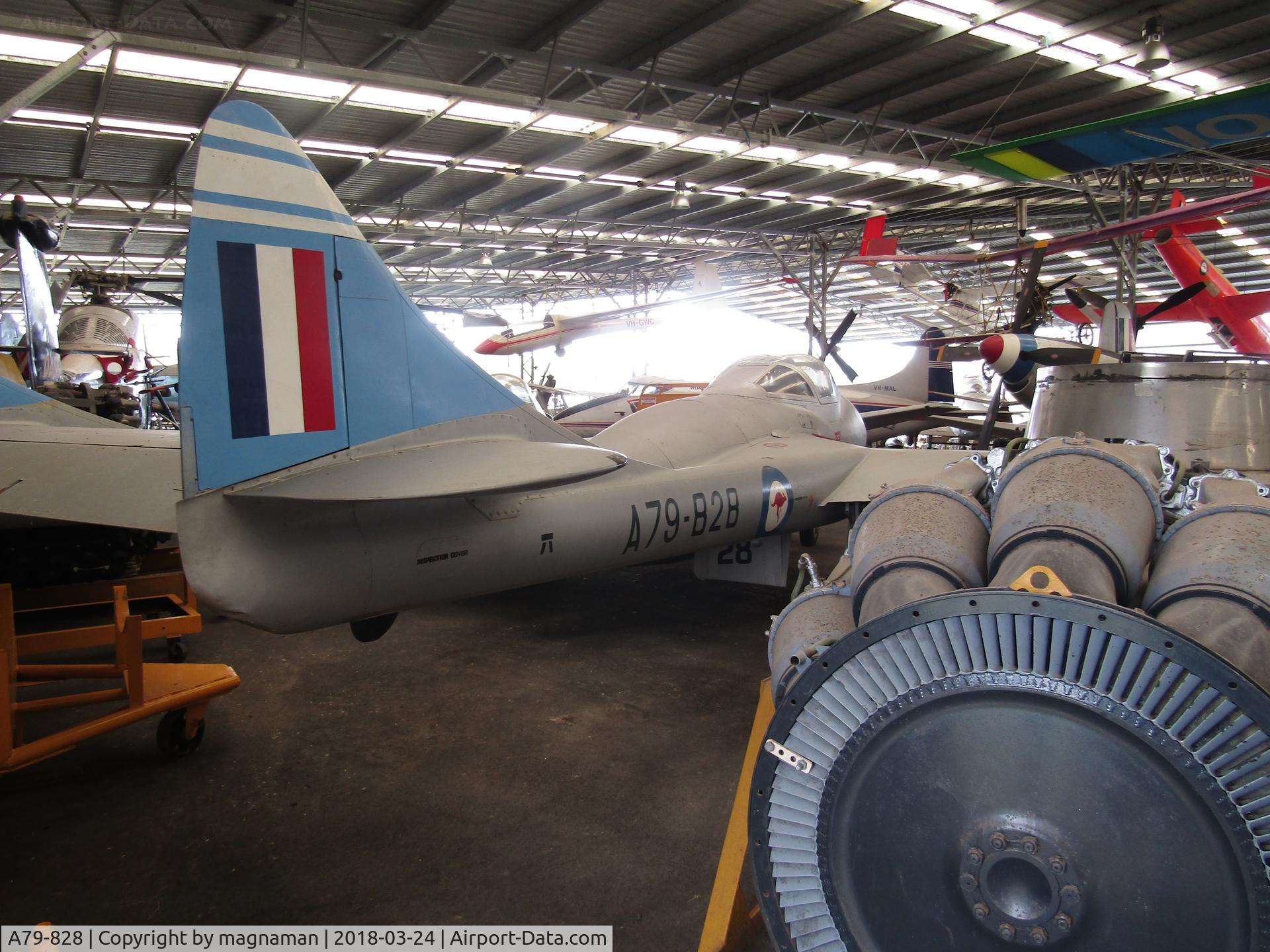 A79-828, De Havilland Australia DH-115 Vampire T.35A C/N DHA4113, Crowded hangar at Caloundra Museum