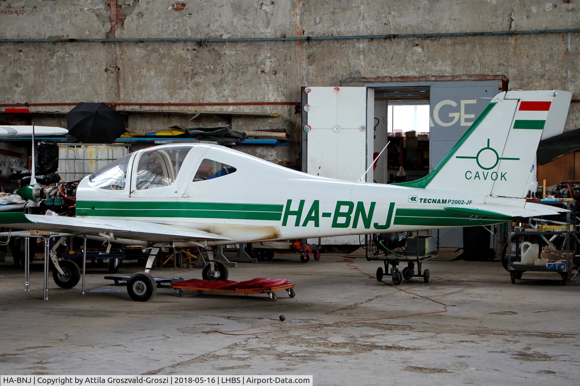 HA-BNJ, Tecnam P-2002JF Sierra C/N 074, LHBS Budaörs Airport, Hungary